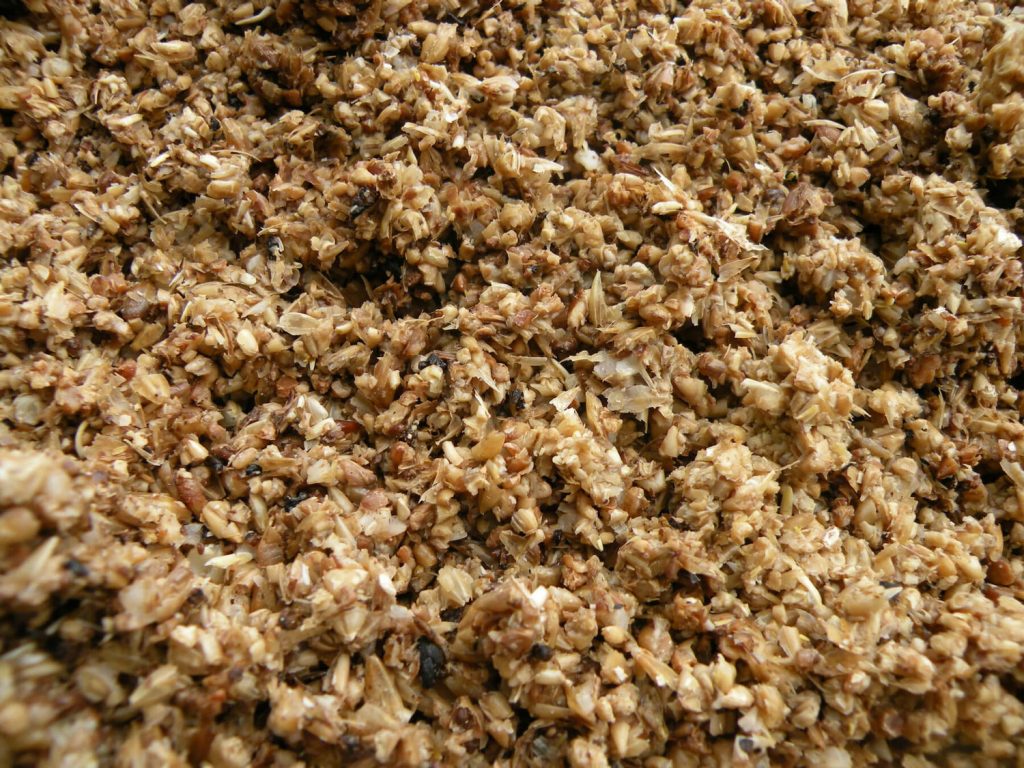 Brewers Grains Worldexport