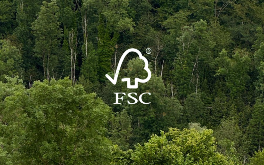 Chung-nhan-FSC-thumb-1