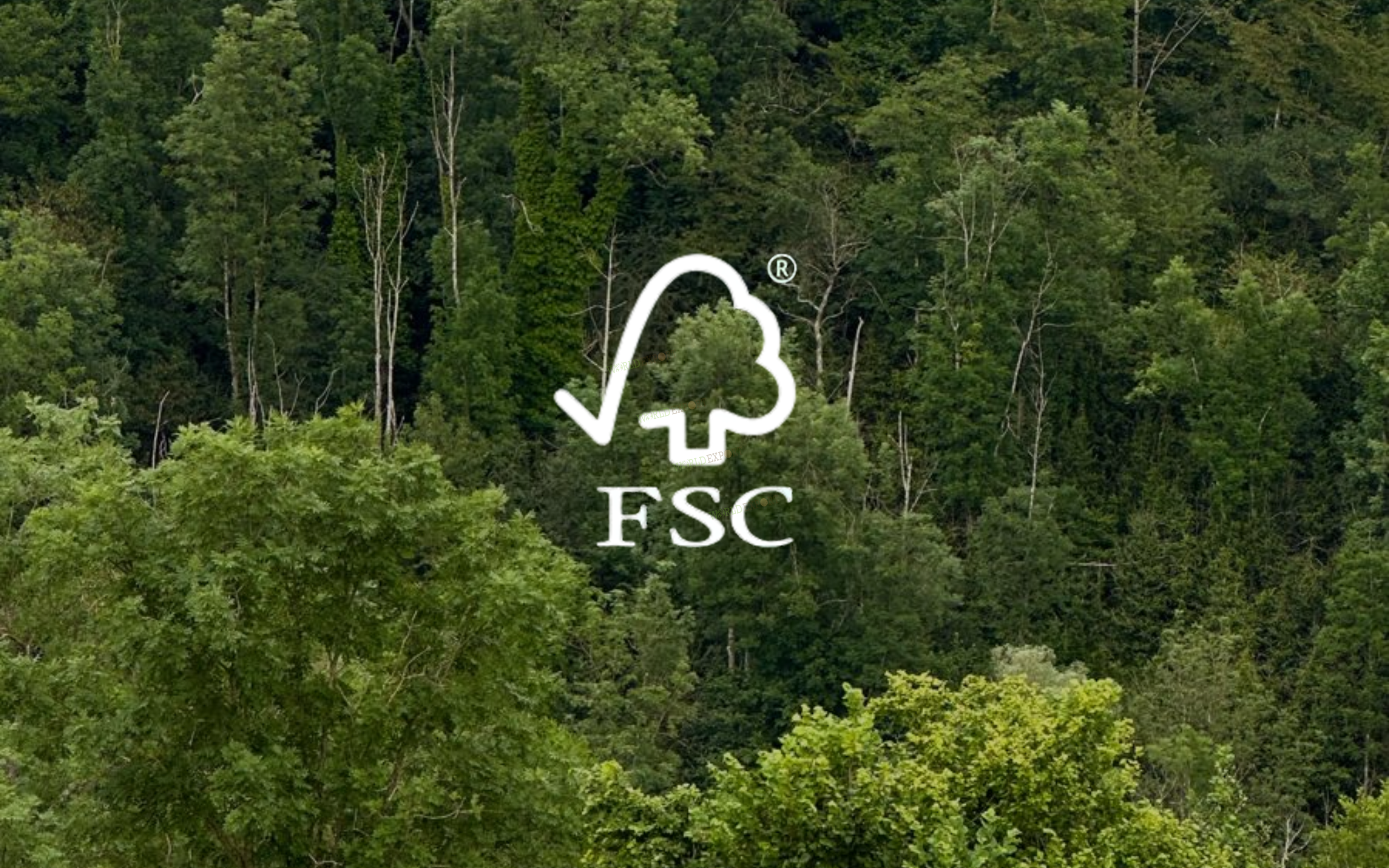 Chung-nhan-FSC-thumb-1