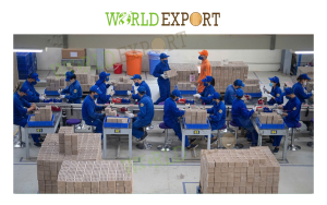 bot-go-dung-cho-phao-hoa-3